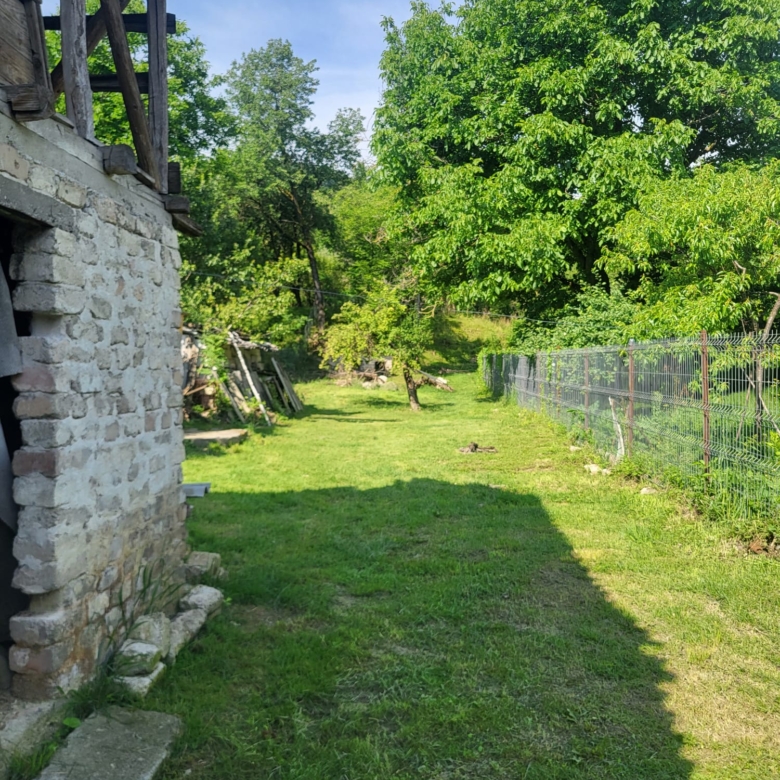 780